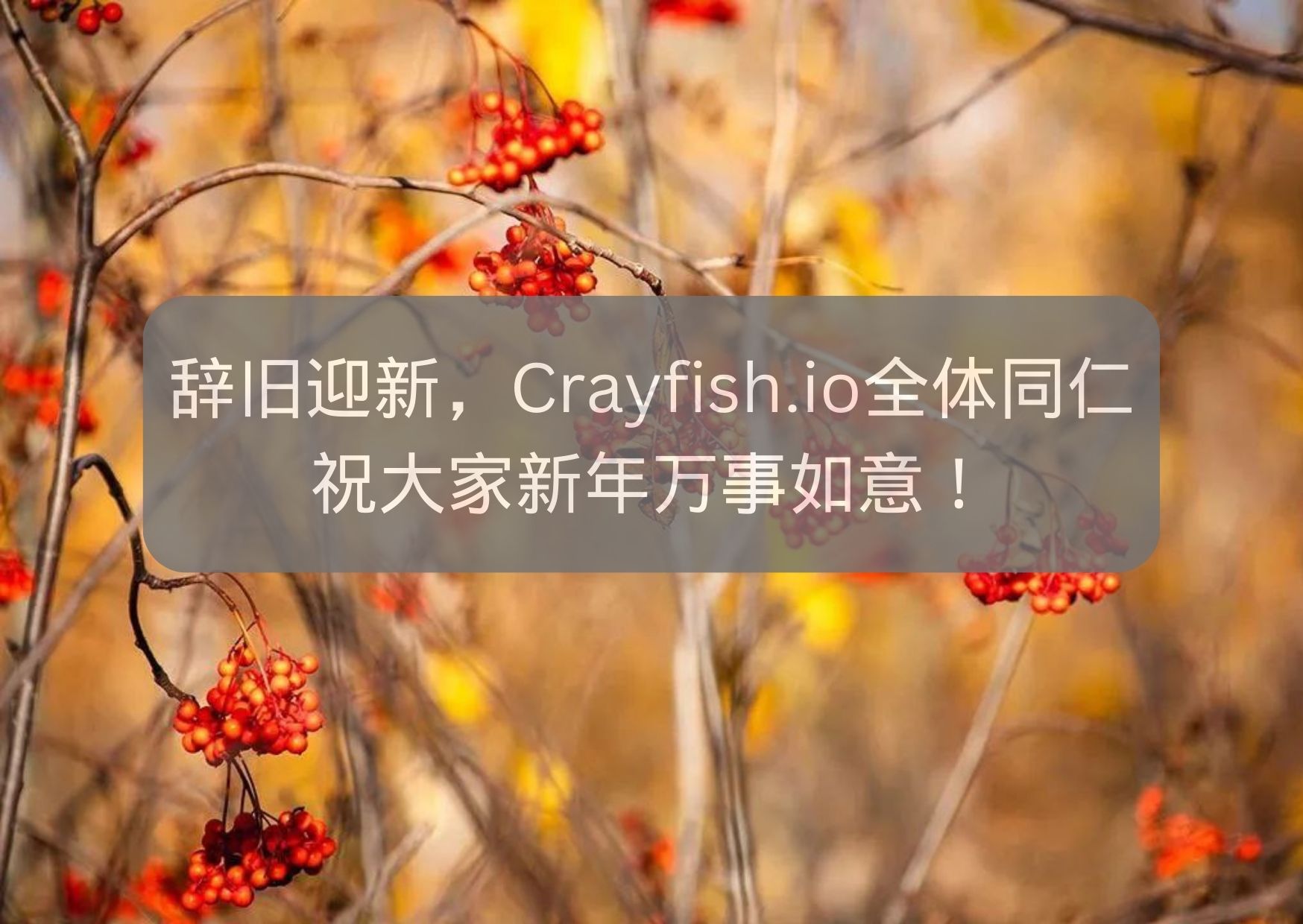 辞旧迎新，Crayfish.io全体同仁祝大家新年万事如意！